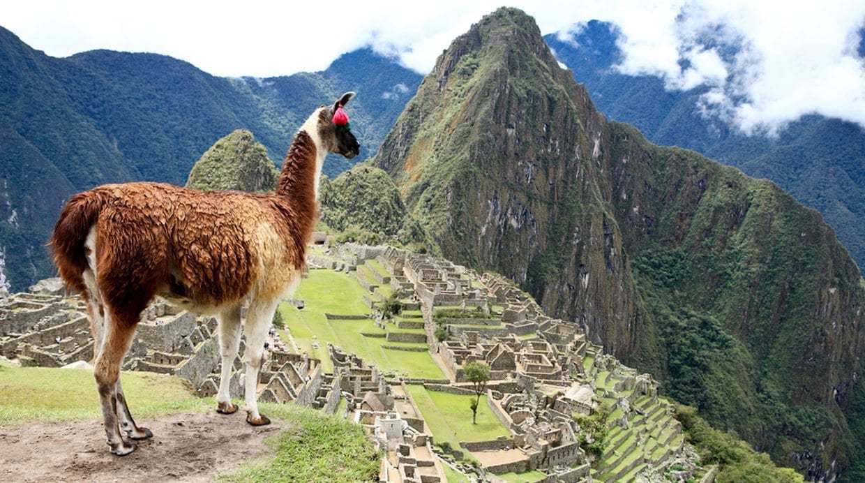 300 mil visitantes en Perú por simplicidad y genialidad rural ...