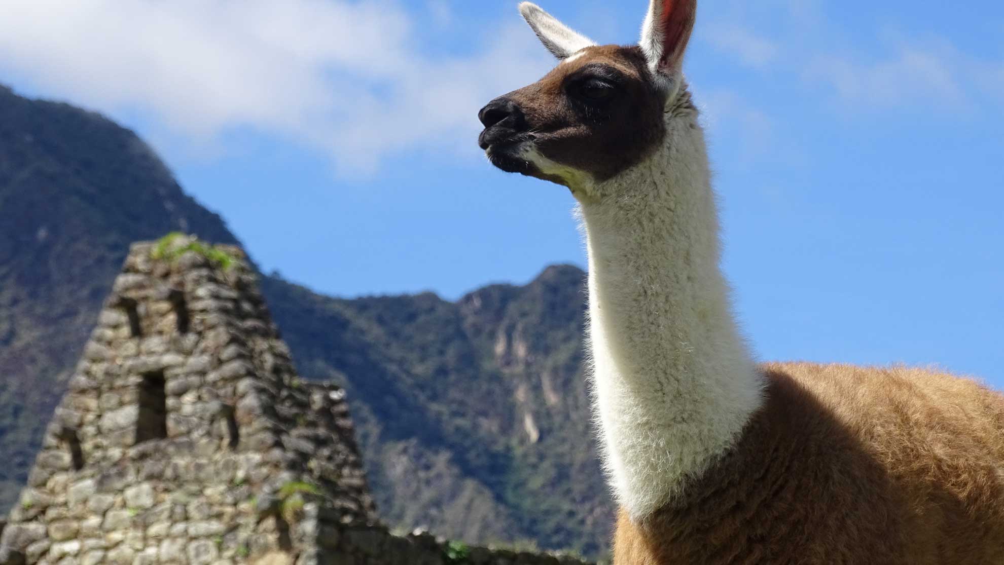5 opciones de aventura 5 destinos naturales cerca de Lima